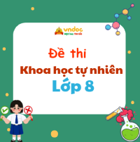 Đề thi KHTN lớp 8 năm 2026