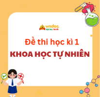 Bộ đề thi học kì 1 KHTN 6, 7, 8, 9 Chân trời sáng tạo Theo CV 7991 (Dạy song song)