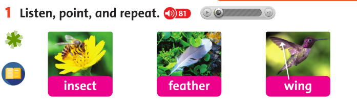 Tiếng Anh 3 Family and Friends Fluency Time 2 Lesson 2 minh họa 1