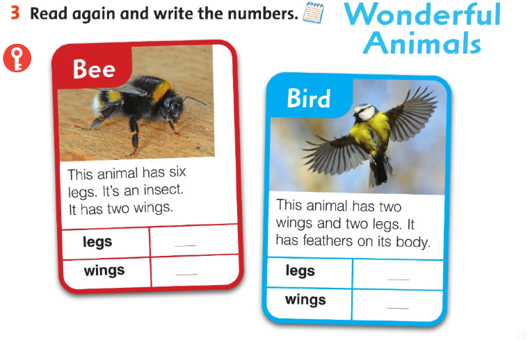 Tiếng Anh 3 Family and Friends Fluency Time 2 Lesson 2 minh họa 2