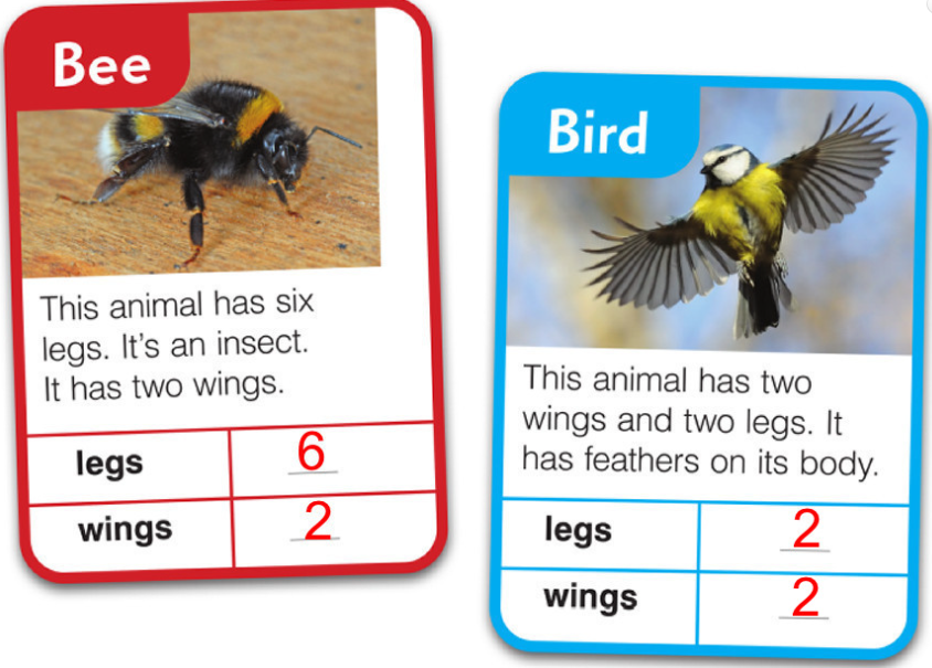 Tiếng Anh 3 Family and Friends Fluency Time 2 Lesson 2 minh họa 3