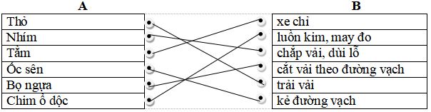 Đáp án đề kiểm tra học kì 1 lớp 3 môn Tiếng Việt