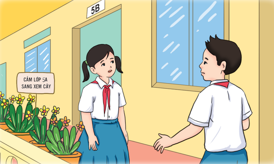 Tấm bìa các tông trang 114 lớp 5 Tập 1 Cánh Diều