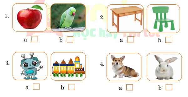 Đề thi tiếng Anh học kì 1 lớp 1 Wonderful World minh họa 1