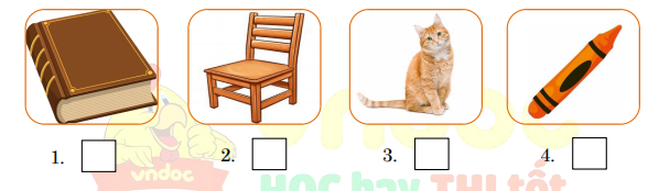 Đề thi tiếng Anh học kì 1 lớp 1 Wonderful World minh họa 4