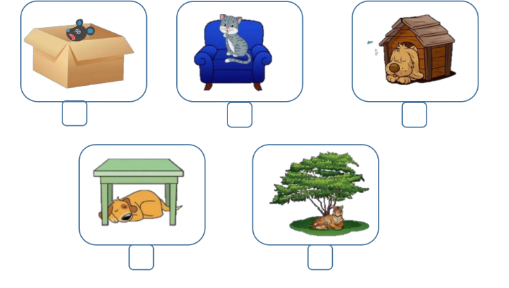 Đề thi Tiếng Anh lớp 3 học kì 1 sách Family and Friends minh họa 12