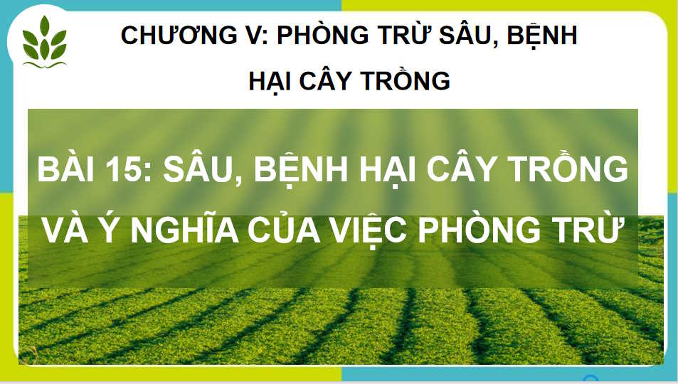 Sâu bệnh hại cây trồng và ý nghĩa của việc phòng trừ
