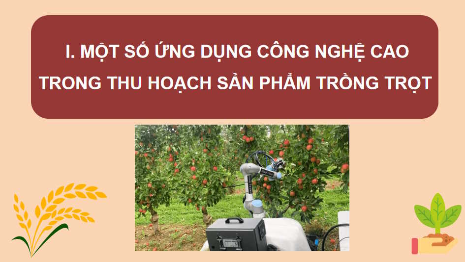 Công nghệ cao trong thu hoạch và bảo quản sản phẩm trồng trọt