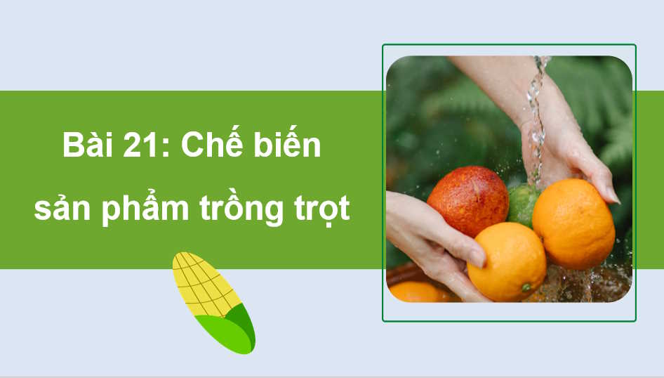 Chế biến sản phẩm trồng trọt