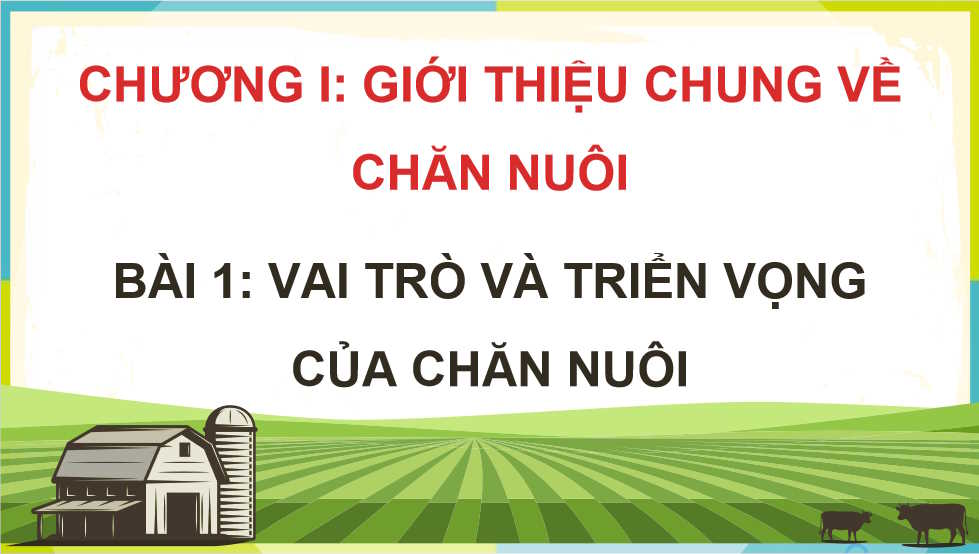 Vai trò và triển vọng của chăn nuôi