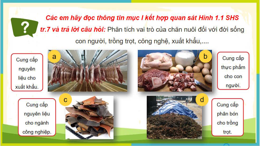 Vai trò và triển vọng của chăn nuôi