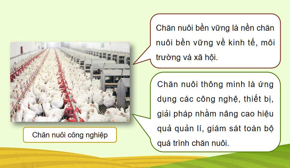 Vật nuôi và phương thức chăn nuôi