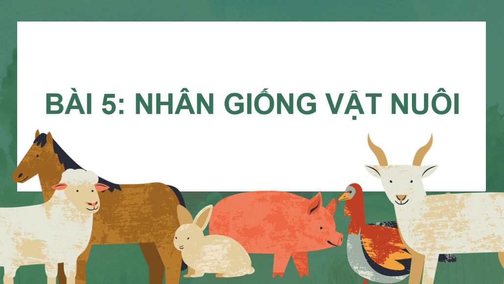 Nhân giống vật nuôi