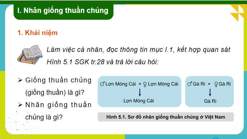 Nhân giống vật nuôi