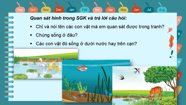 PowerPoint Tự nhiên và xã hội 2 Bài 17: Động vật sống ở đâu