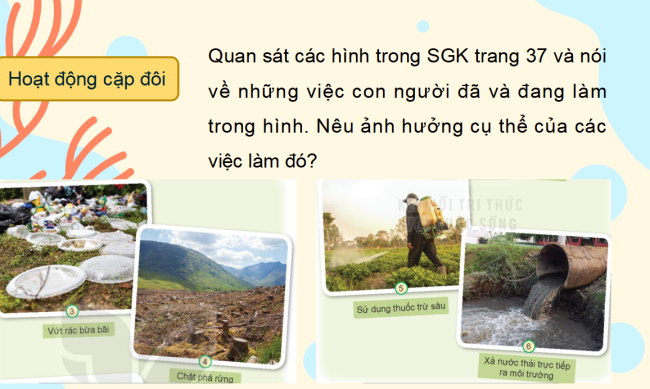 PowerPoint Tự nhiên và xã hội 2 Bài 18: Cần làm gì để bảo vệ môi trường sống của thực vật và động vật