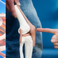 Giáo án Tự nhiên và xã hội 2 Bài 21: Tìm hiểu cơ quan vận động