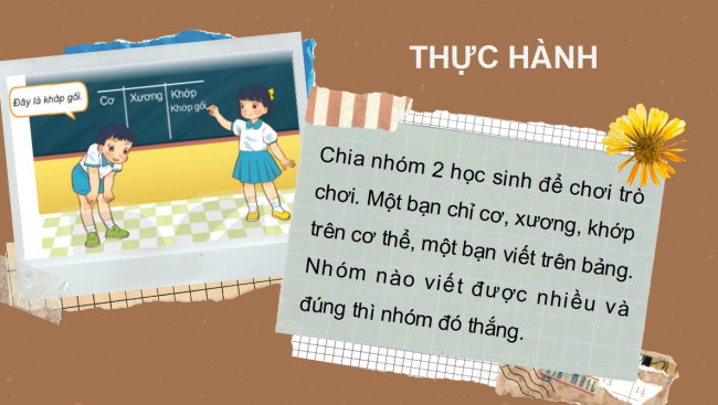 PowerPoint Tự nhiên và xã hội 2 Bài 21: Tìm hiểu cơ quan vận động