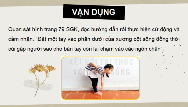 PowerPoint Tự nhiên và xã hội 2 Bài 21: Tìm hiểu cơ quan vận động