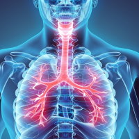 Giáo án Tự nhiên và xã hội 2 Bài 23: Tìm hiểu cơ quan hô hấp