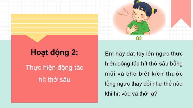 PowerPoint Tự nhiên và xã hội 2 Bài 23: Tìm hiểu cơ quan hô hấp