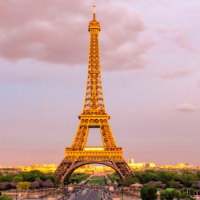 Giáo án Toán 6 Bài 5: Hình có trục đối xứng