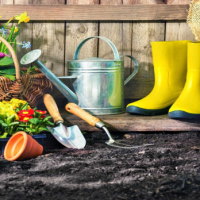 Giáo án Công nghệ 4 Bài 3: Vật liệu và dụng cụ trồng hoa, cây cảnh trong chậu