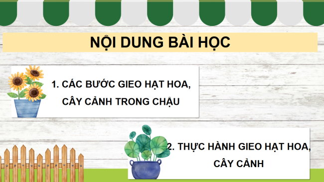 PowerPoint Công nghệ 4 Bài 4: Gieo hạt hoa, cây cảnh trong chậu