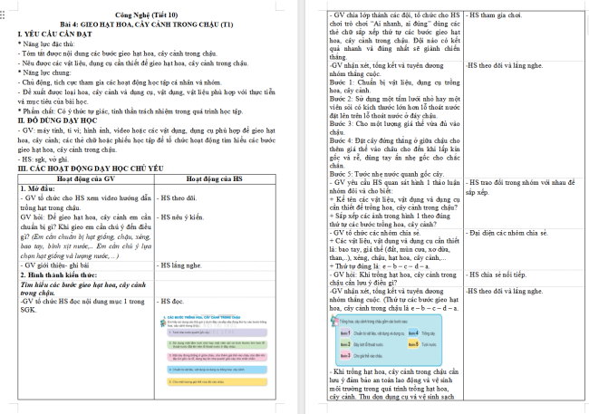 Giáo án Công nghệ 4 Bài 4: Gieo hạt hoa, cây cảnh trong chậu