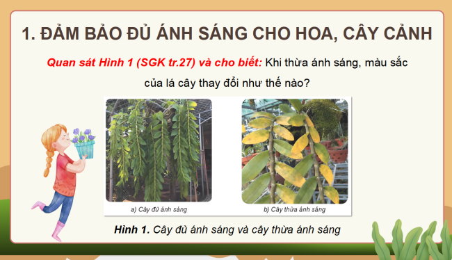 PowerPoint Công nghệ 4 Bài 6: Chăm sóc hoa, cây cảnh trong chậu
