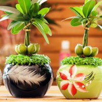 Giáo án Công nghệ 4: Ôn tập học kì 1