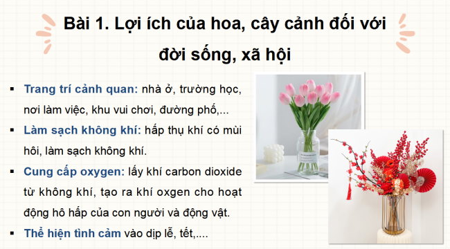 PowerPoint Công nghệ 4 Ôn tập học kì 1