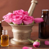 Giáo án Công nghệ 4 Bài 1: Lợi ích của hoa, cây cảnh đối với đời sống