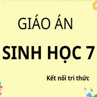 Giáo án Word + PowerPoint Sinh học 7 - Kết nối tri thức