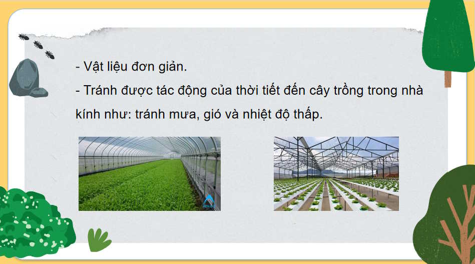 Một số công nghệ cao trong trồng trọt