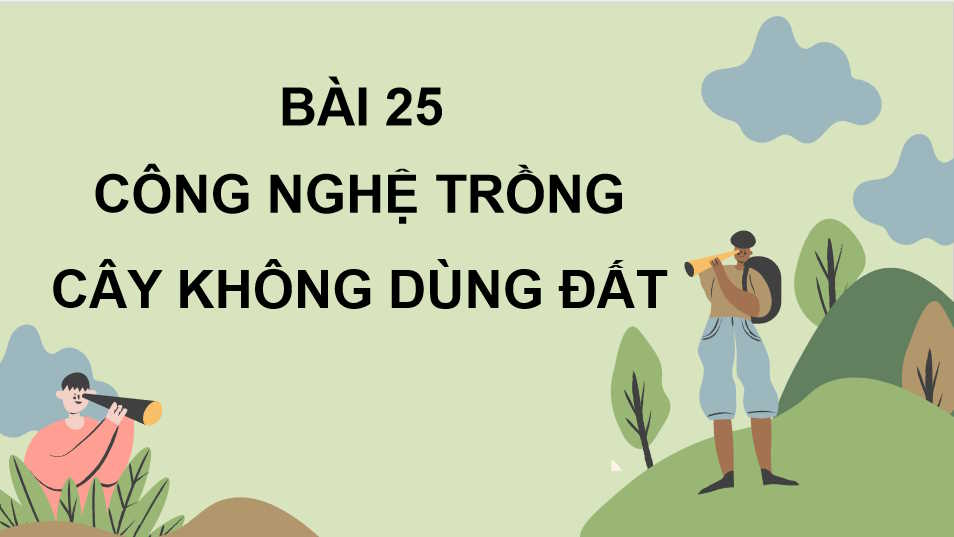  Công nghệ trồng cây không dùng đất