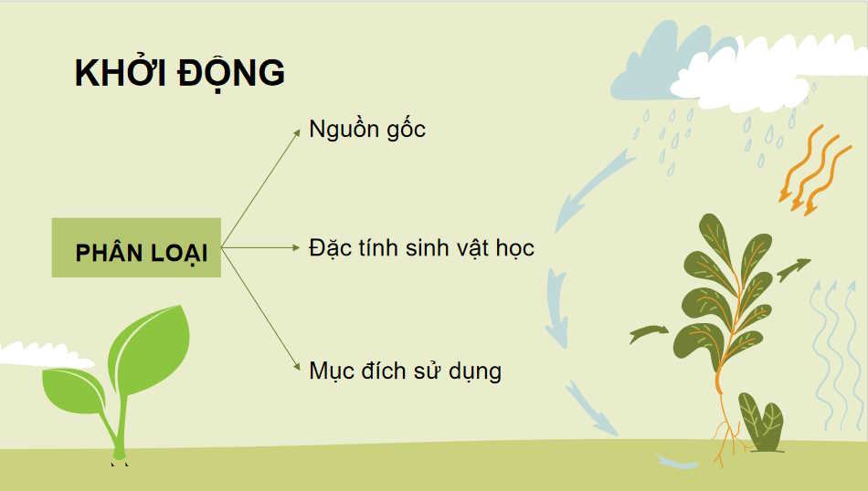 Công nghệ Trồng trọt 10 Kết nối tri thức HK1