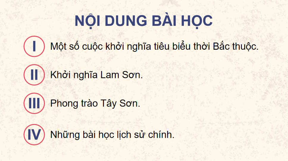 Một số cuộc khởi nghĩa và chiến tranh giải phóng trong lịch sử Việt Nam