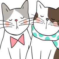 Giáo án Âm nhạc 3 Chủ đề 4 Tiết 3: Nghe nhạc Chú mèo nhảy múa. Vận dụng: Dùng cốc nhựa làm nhạc cụ gõ