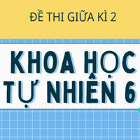 Ma trận đề thi Giữa kì 2 Khoa học tự nhiên 6 theo CV 7991 - Kết nối tri thức