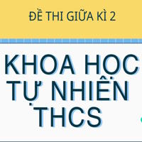 Đề thi Giữa kì 2 Khoa học tự nhiên 6, 7, 8, 9 theo CV 7991 - Kết nối tri thức