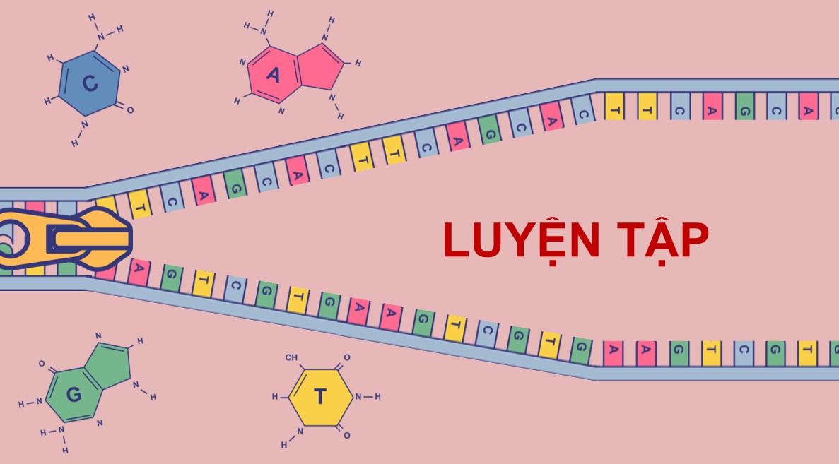 PowerPoint Hóa 12 Kết nối tri thức Bài 17