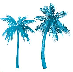 Giải vở bài tập Toán lớp 2 Mét (trang 66) - Chân trời sáng tạo