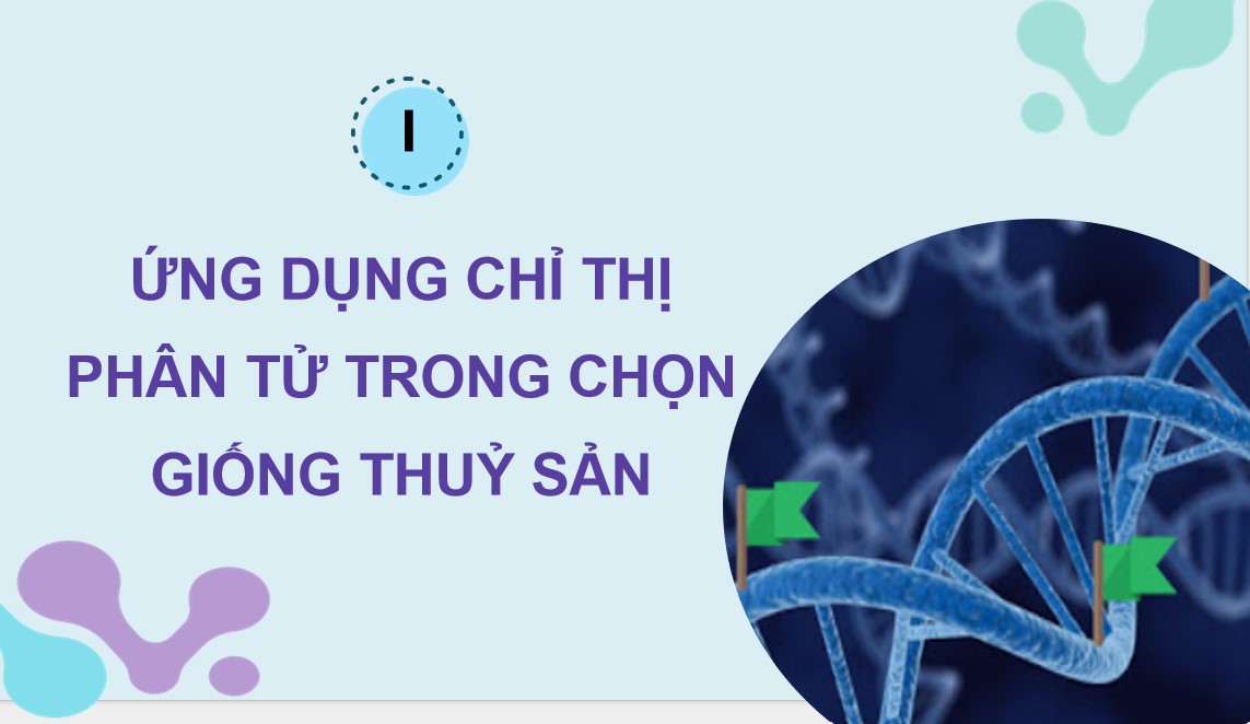 PowerPoint Công nghệ 12 Kết nối tri thức Bài Ứng dụng công nghệ sinh học trong chọn và nhân giống thuỷ sản