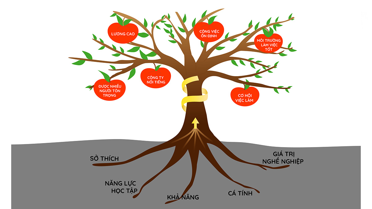 Cách vẽ sơ đồ tư duy logic đẹp, đơn giản nhanh chóng