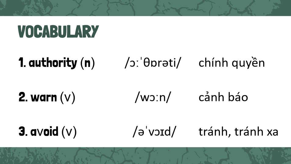 Giáo án Tiếng Anh 8 Unit 9: Skills 2