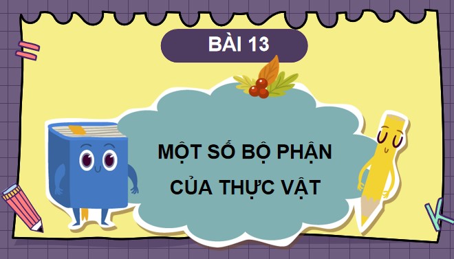 TNXH 3 bai 13 2*866044