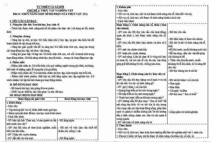 Bài 14: Chức năng một số bộ phận của thực vật