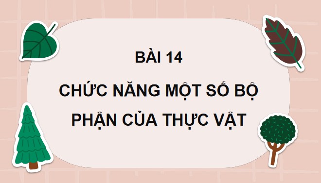 TNXH 3 bai 14 2*866077