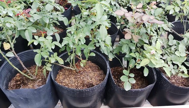 TNXH 3 bai 14 4*866079